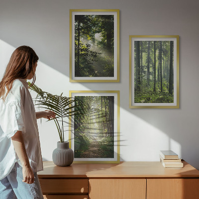 Tavelset ovanför soffa Gröna skogar med ljusstrålar