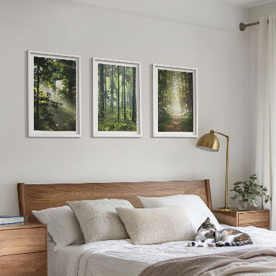 Tavelset ovanför soffa Gröna skogar med ljusstrålar