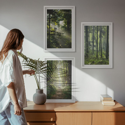 Tavelset ovanför soffa Gröna skogar med ljusstrålar
