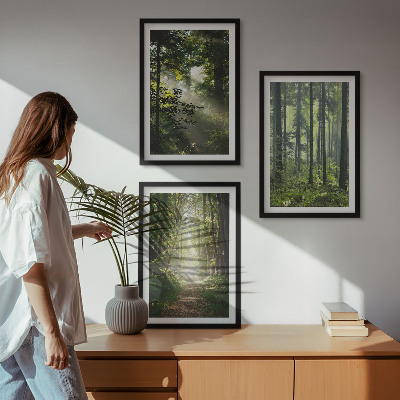 Tavelset ovanför soffa Gröna skogar med ljusstrålar
