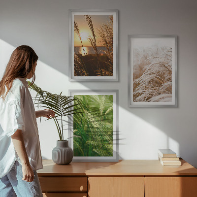 Tavelpaket med ramar Gräs färgglad natur