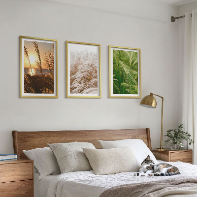 Tavelpaket med ramar Gräs färgglad natur