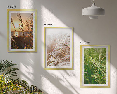 Tavelpaket med ramar Gräs färgglad natur