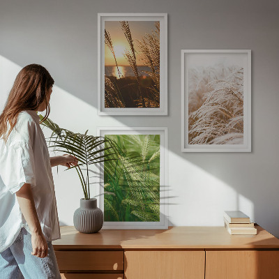 Tavelpaket med ramar Gräs färgglad natur