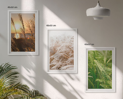 Tavelpaket med ramar Gräs färgglad natur