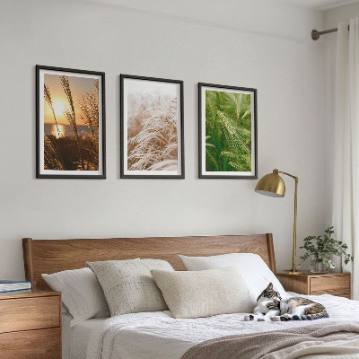 Tavelpaket med ramar Gräs färgglad natur