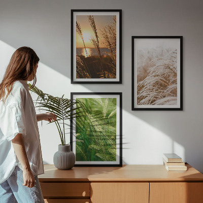 Tavelpaket med ramar Gräs färgglad natur