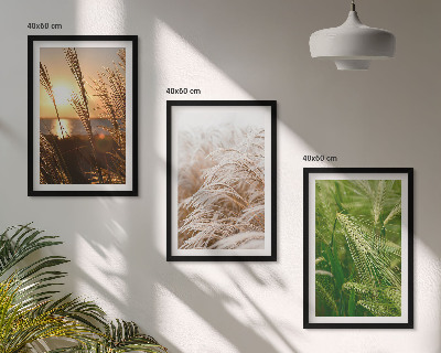 Tavelpaket med ramar Gräs färgglad natur