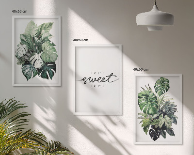 Tavelset ovanför soffa Växter med orden Sweet Home