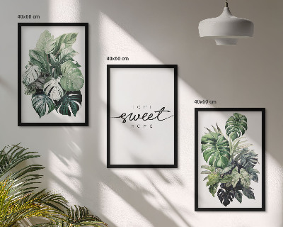 Tavelset ovanför soffa Växter med orden Sweet Home