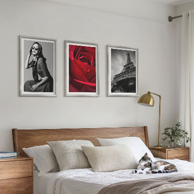 Tavelset ovanför soffa Parisisk dam med Eiffelglasögon