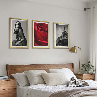 Tavelset ovanför soffa Parisisk dam med Eiffelglasögon