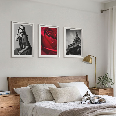 Tavelset ovanför soffa Parisisk dam med Eiffelglasögon