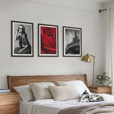 Tavelset ovanför soffa Parisisk dam med Eiffelglasögon