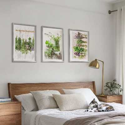Tavelset ovanför soffa Örter och växter för köket
