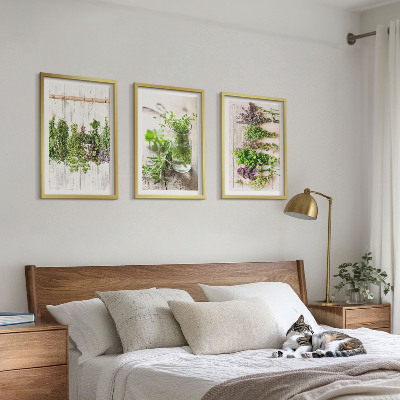 Tavelset ovanför soffa Örter och växter för köket