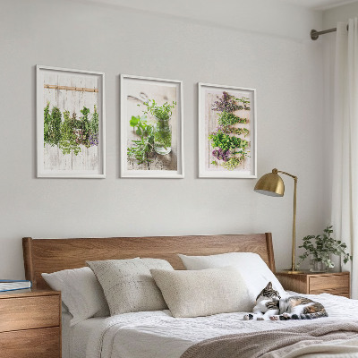 Tavelset ovanför soffa Örter och växter för köket