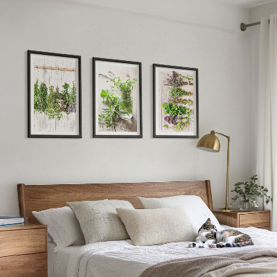 Tavelset ovanför soffa Örter och växter för köket