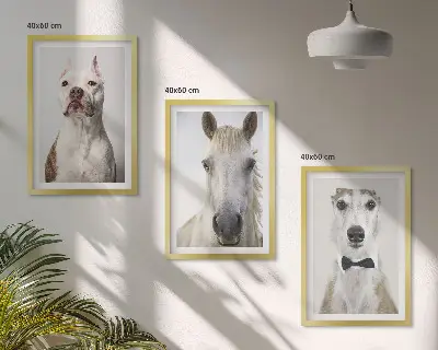 Eleganta porträtt av hundar och hästar set om 3 tavlor