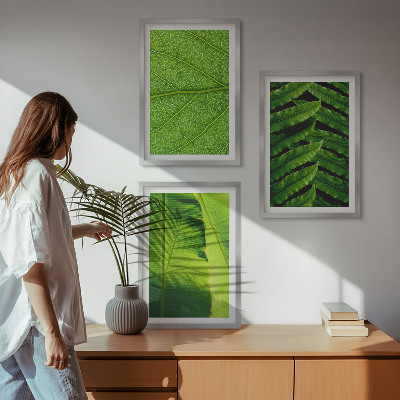 Tavelset ovanför soffa Makrofotografi av tropiska löv