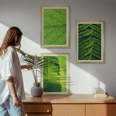 Tavelset ovanför soffa Makrofotografi av tropiska löv