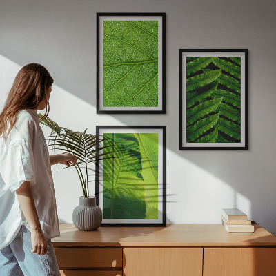Tavelset ovanför soffa Makrofotografi av tropiska löv