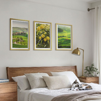 Tavelset ovanför soffa Italiensk citrus och kullar