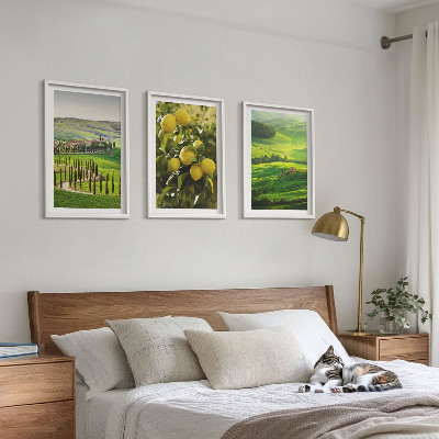 Tavelset ovanför soffa Italiensk citrus och kullar
