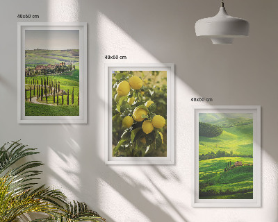 Tavelset ovanför soffa Italiensk citrus och kullar