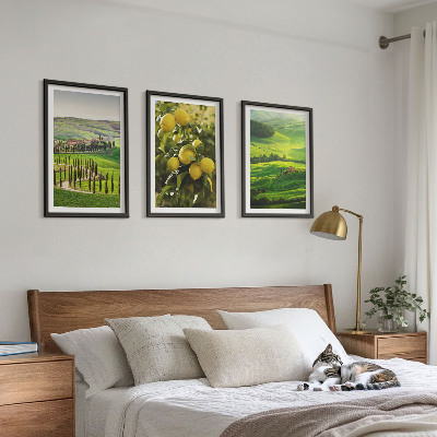 Tavelset ovanför soffa Italiensk citrus och kullar