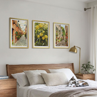 Set om 3 tavlor Gator med citronblommor i bakgrunden