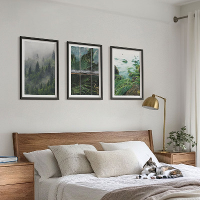 Tavelpaket med ramar Skogsdimma flodstrand växthus