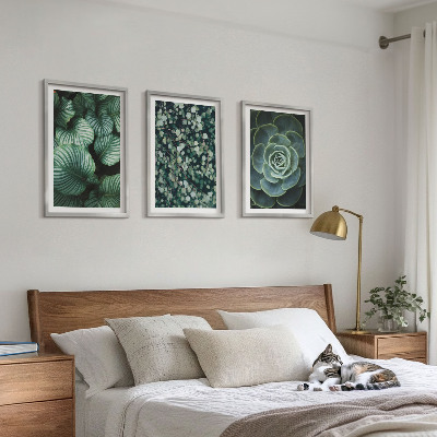 Tavelset ovanför soffa Gröna blad suckulenter stil