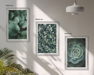Tavelset ovanför soffa Gröna blad suckulenter stil