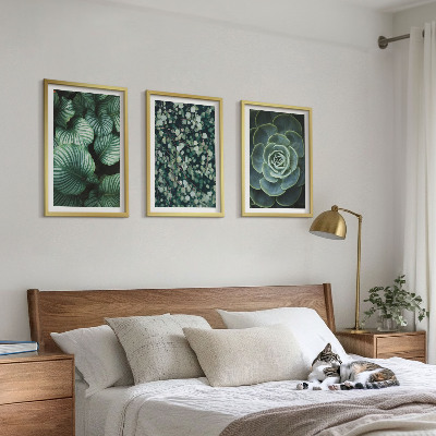 Tavelset ovanför soffa Gröna blad suckulenter stil