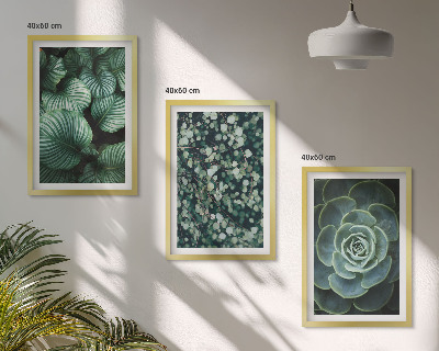 Tavelset ovanför soffa Gröna blad suckulenter stil