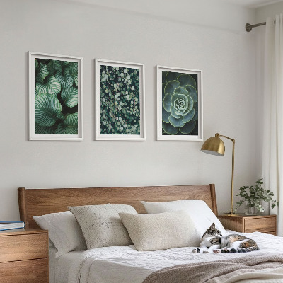 Tavelset ovanför soffa Gröna blad suckulenter stil