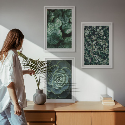 Tavelset ovanför soffa Gröna blad suckulenter stil