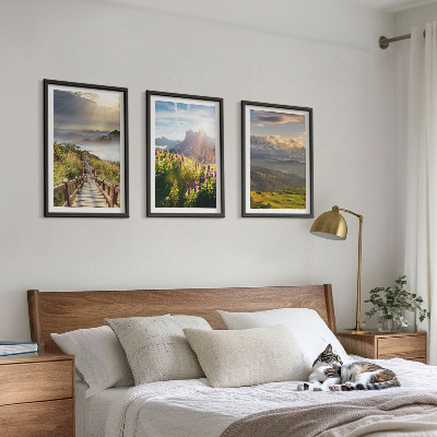 Tavelset ovanför soffa Berglandskap med blommor