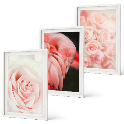 Tavelset ovanför soffa Pastellrosa flamingos delikat