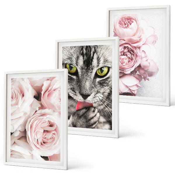 Set om 3 tavlor Katt i rosa blommor