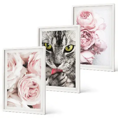Katt i rosa blommor set om 3 tavlor