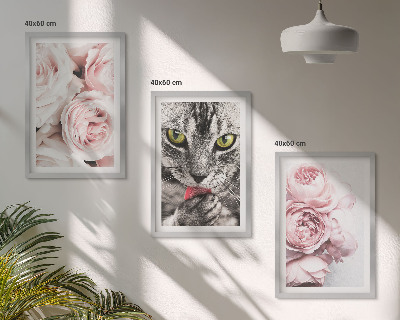 Set om 3 tavlor Katt i rosa blommor