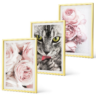 Set om 3 tavlor Katt i rosa blommor