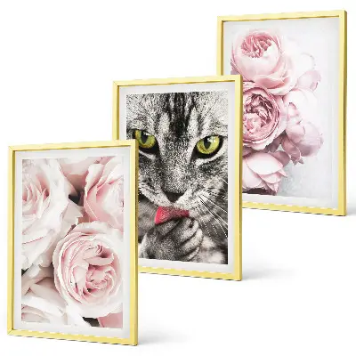 Katt i rosa blommor set om 3 tavlor