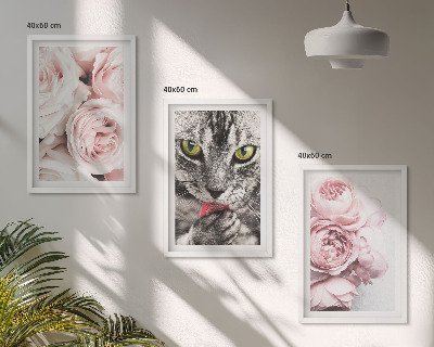 Set om 3 tavlor Katt i rosa blommor