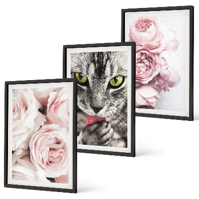 Set om 3 tavlor Katt i rosa blommor