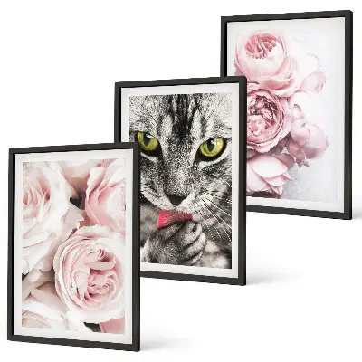 Katt i rosa blommor set om 3 tavlor
