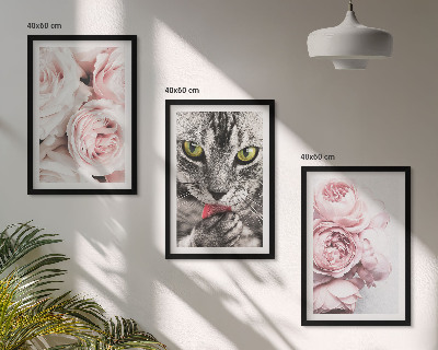 Set om 3 tavlor Katt i rosa blommor