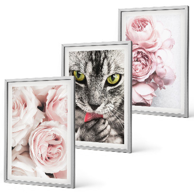 Set om 3 tavlor Katt i rosa blommor